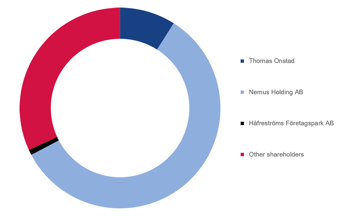 Sharholder_structure_chart_2021.png